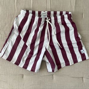 Palmees Men’s Striped Swim Trunks - M